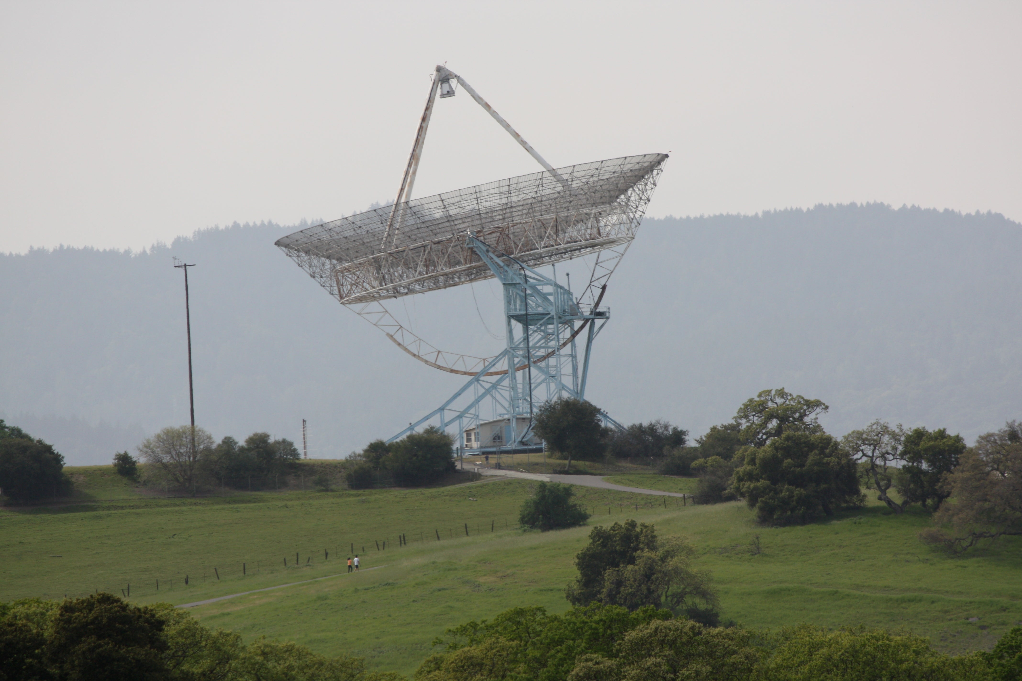 "The Stanford Dish"