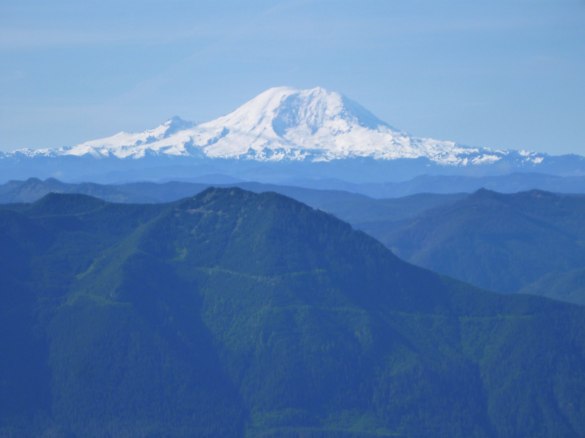 "Mount Rainier from Mount Teneriffe"