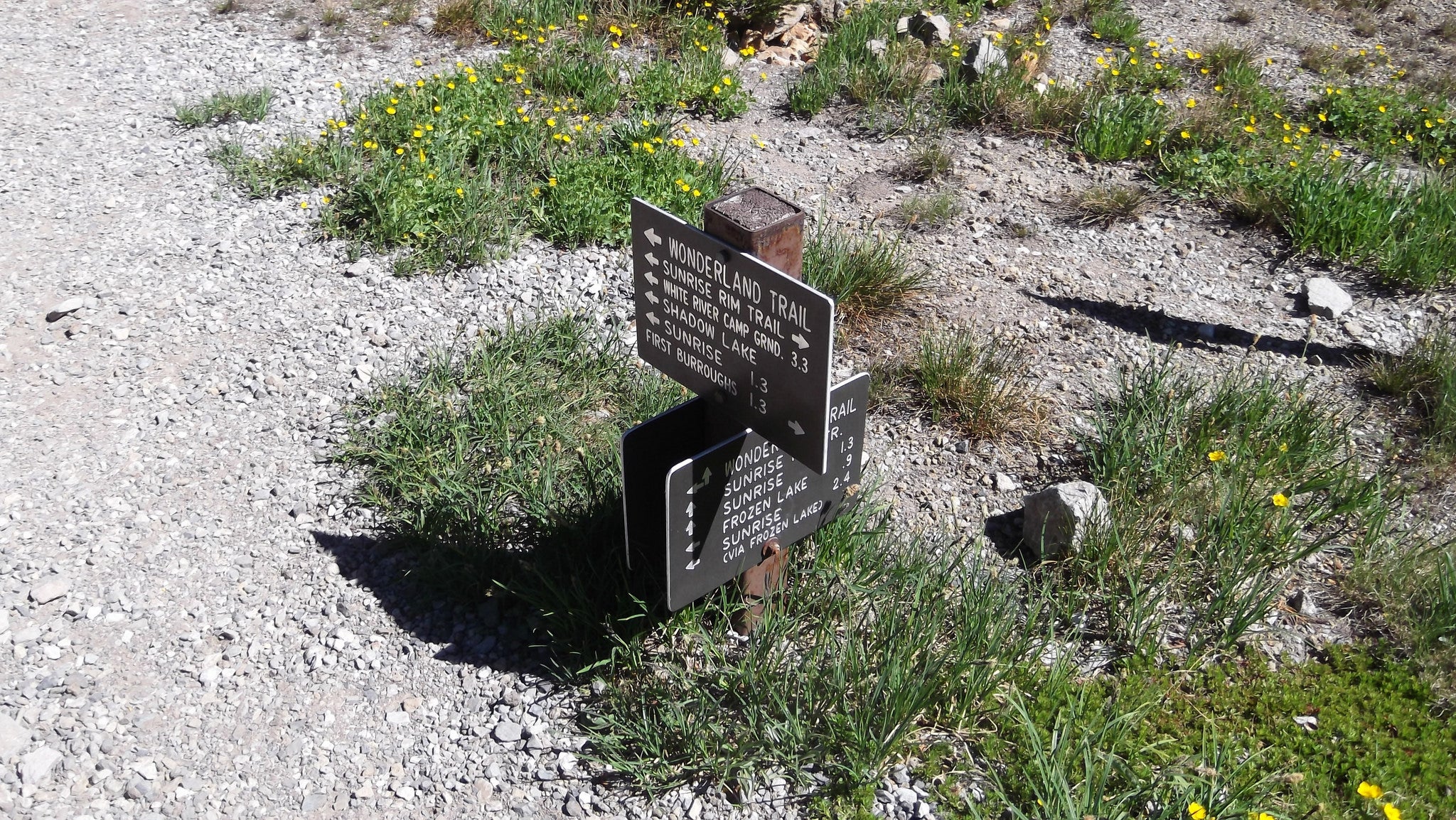 "Intersection of Wonderland Trail"