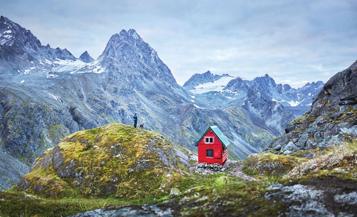 "Mint Hut"