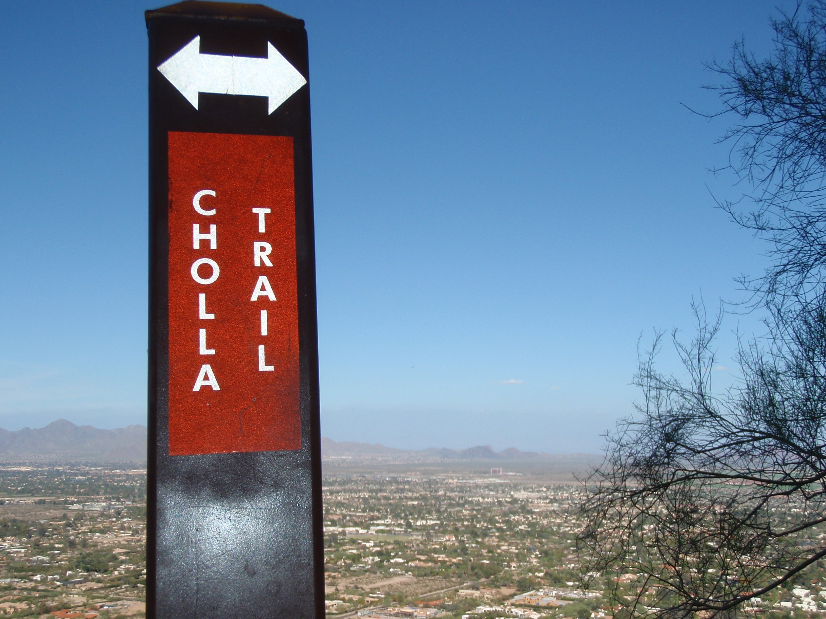 "Cholla trail marker"