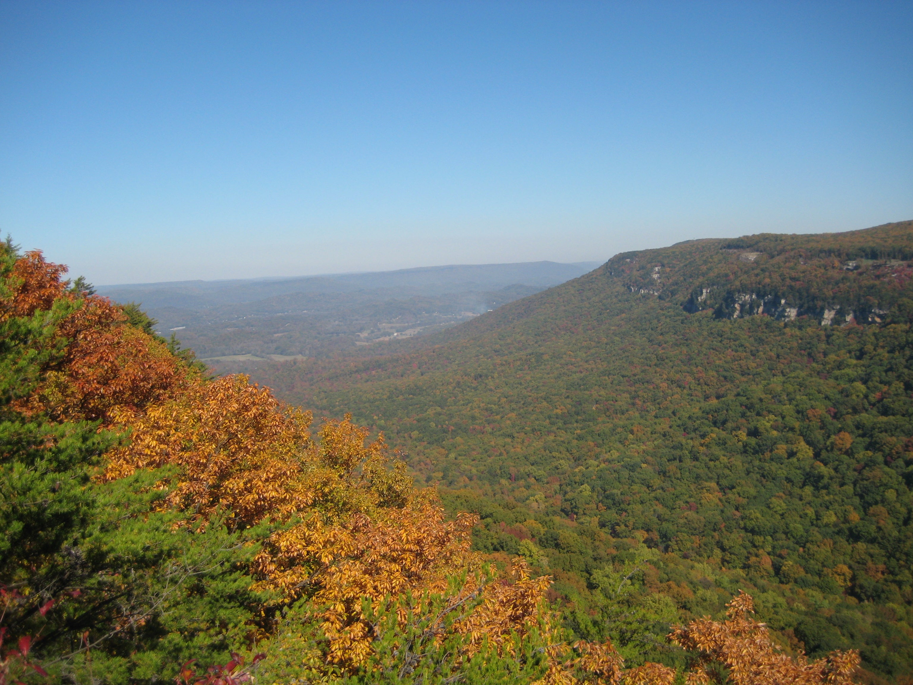 "Cloudland Canyon foliage"