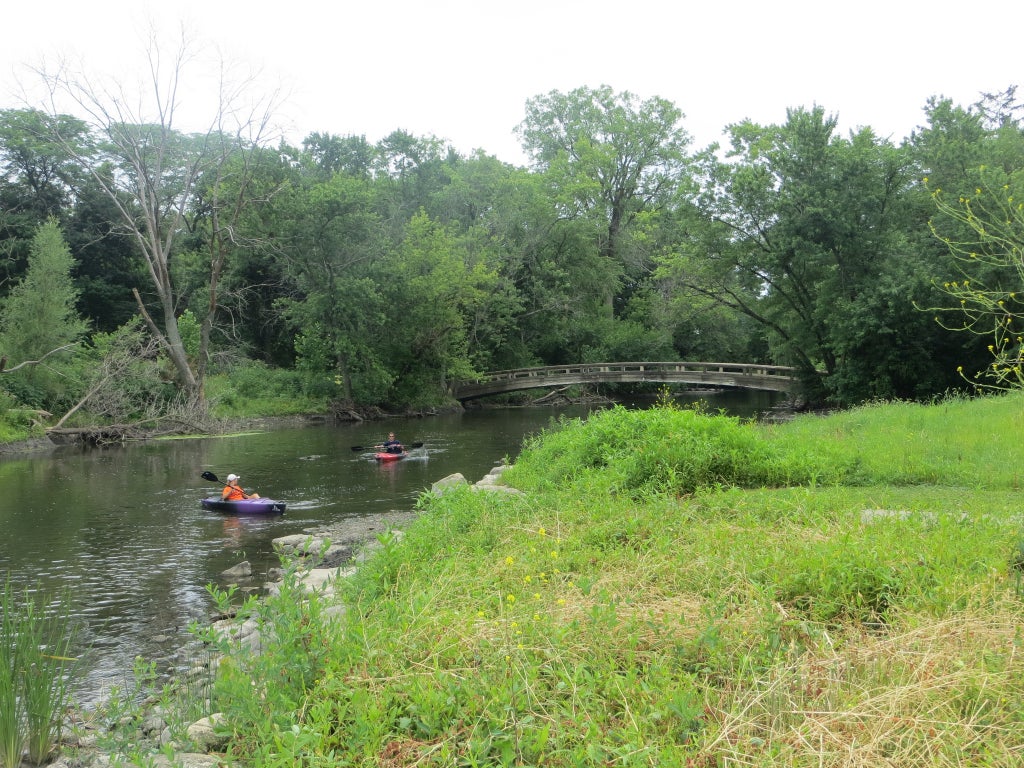 Naperville Kayak Expands Trips to DuPage and Fox Rivers