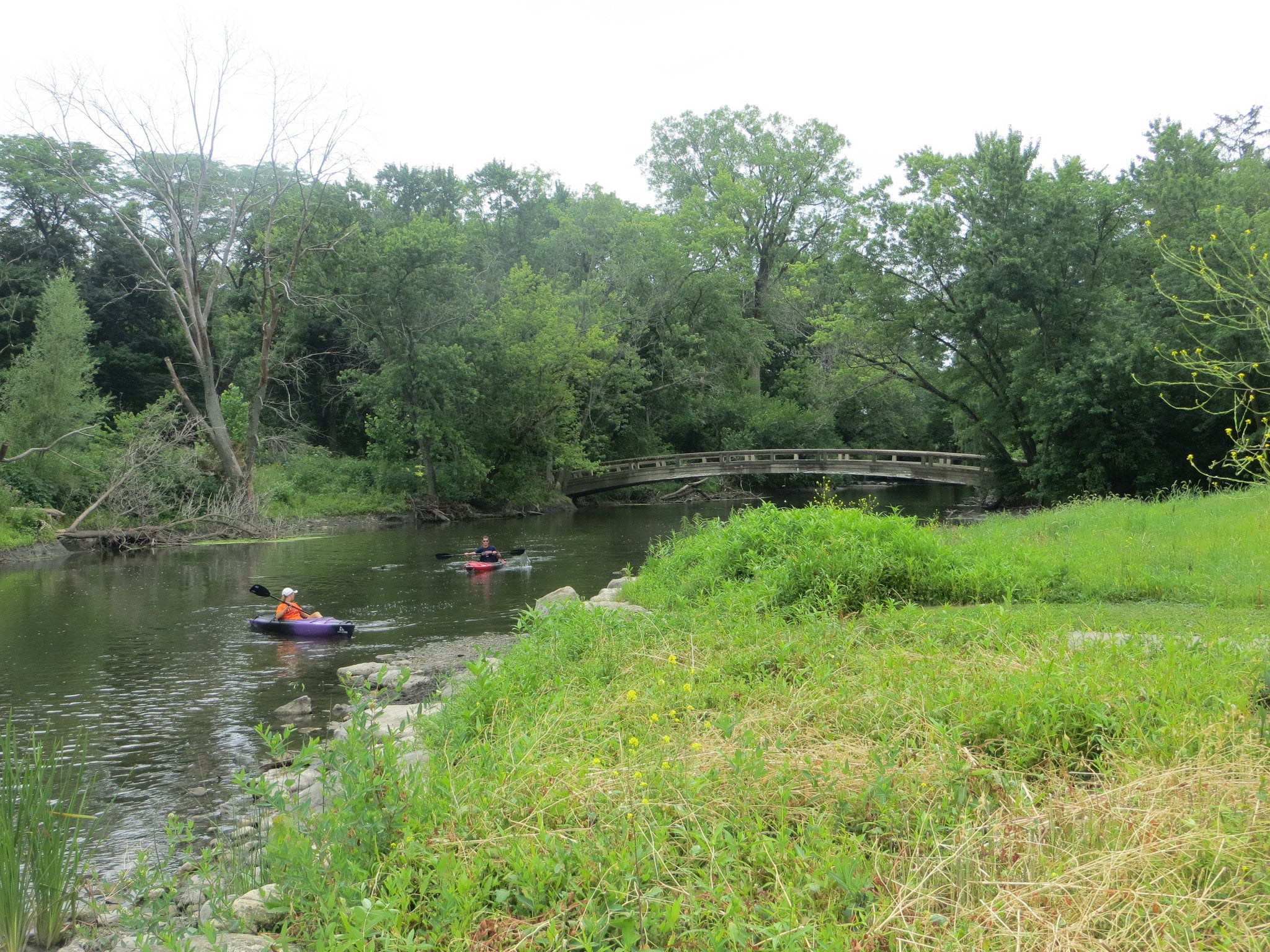 "DuPage River kayakers"