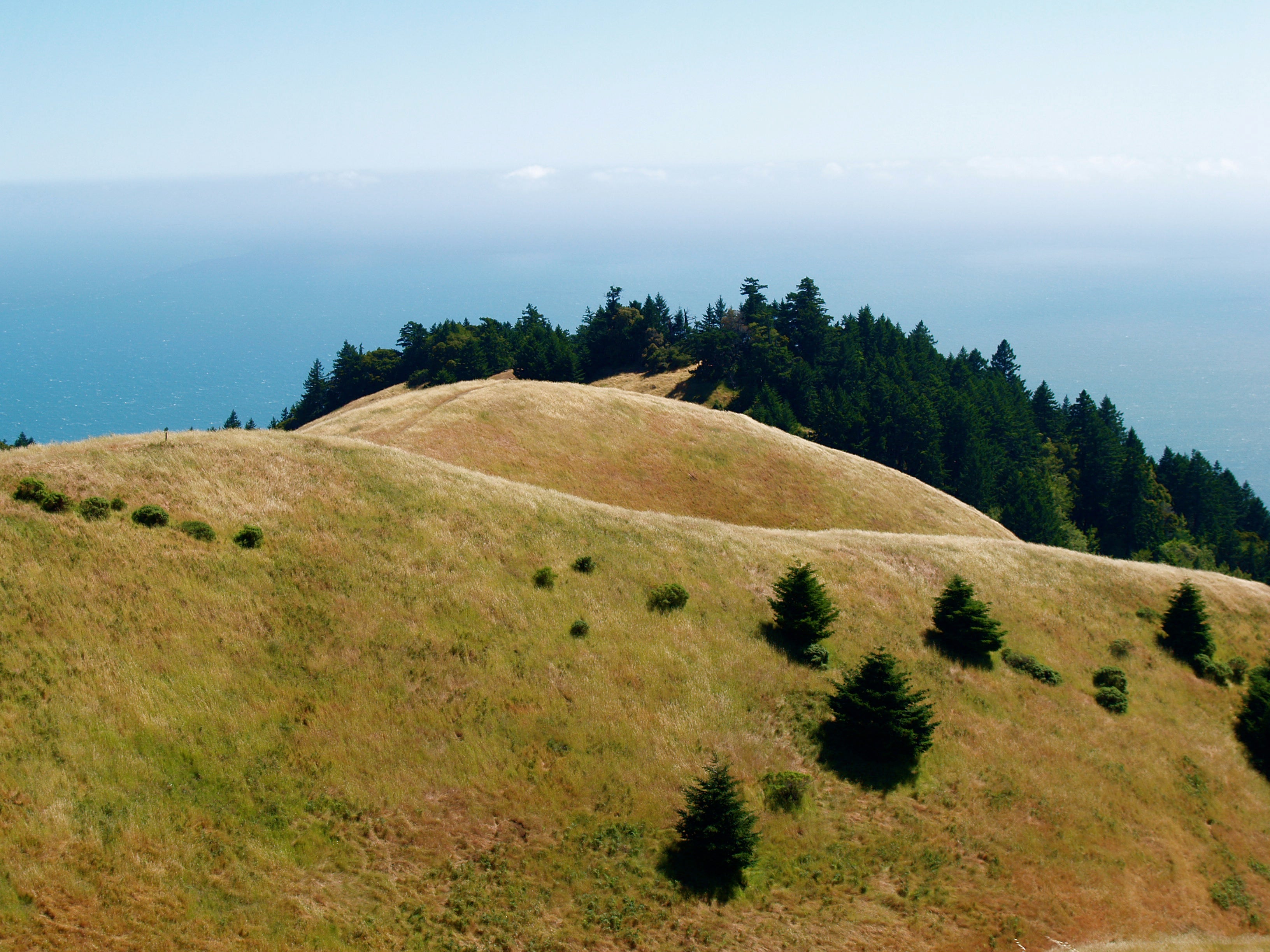"Mt Tam"