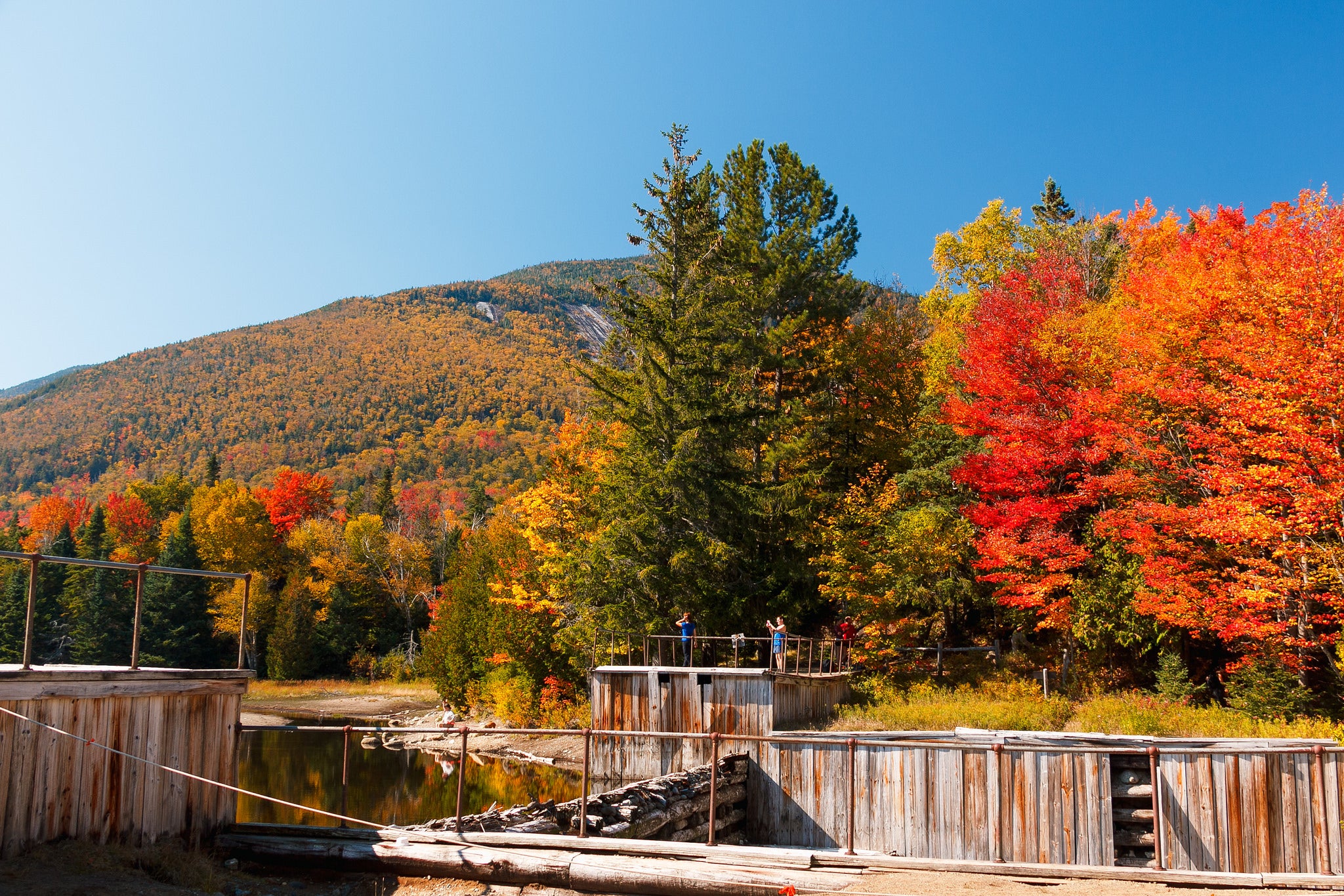 "Lake Placid foliage"