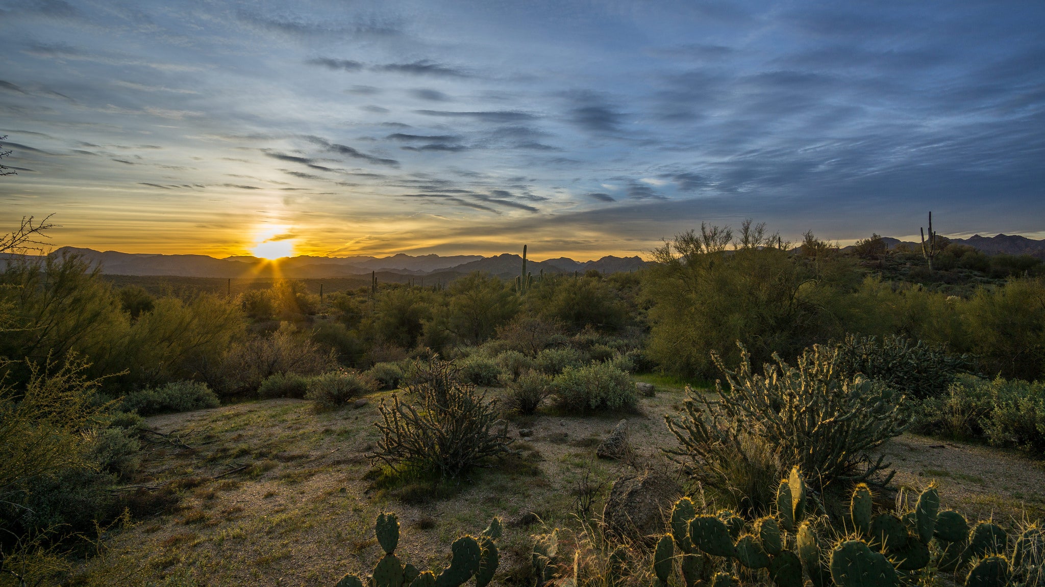 "Tonto NF sunrise"