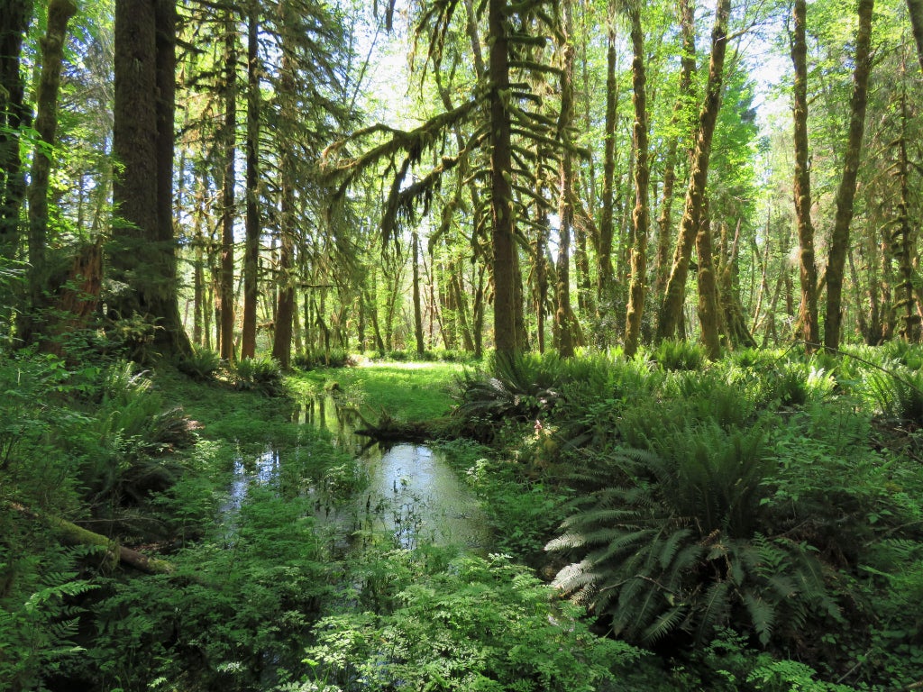 Are State Parks Free This Weekend