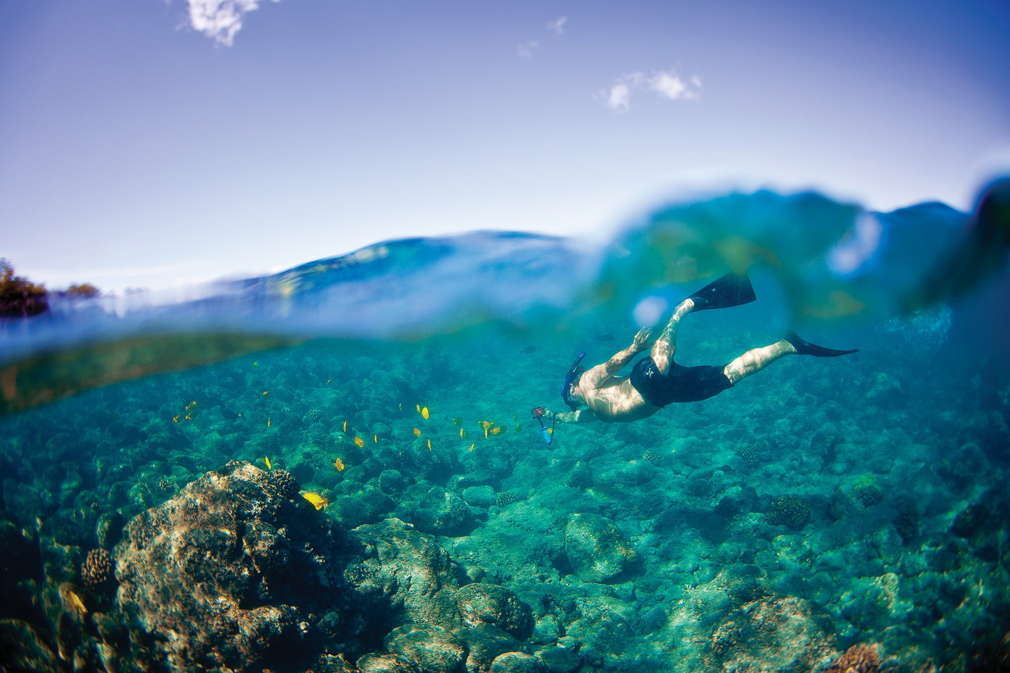"Snorkeling in  Hawaii Volcanoes National Park"