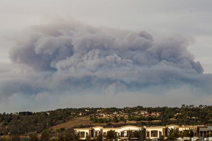 thomas fire None