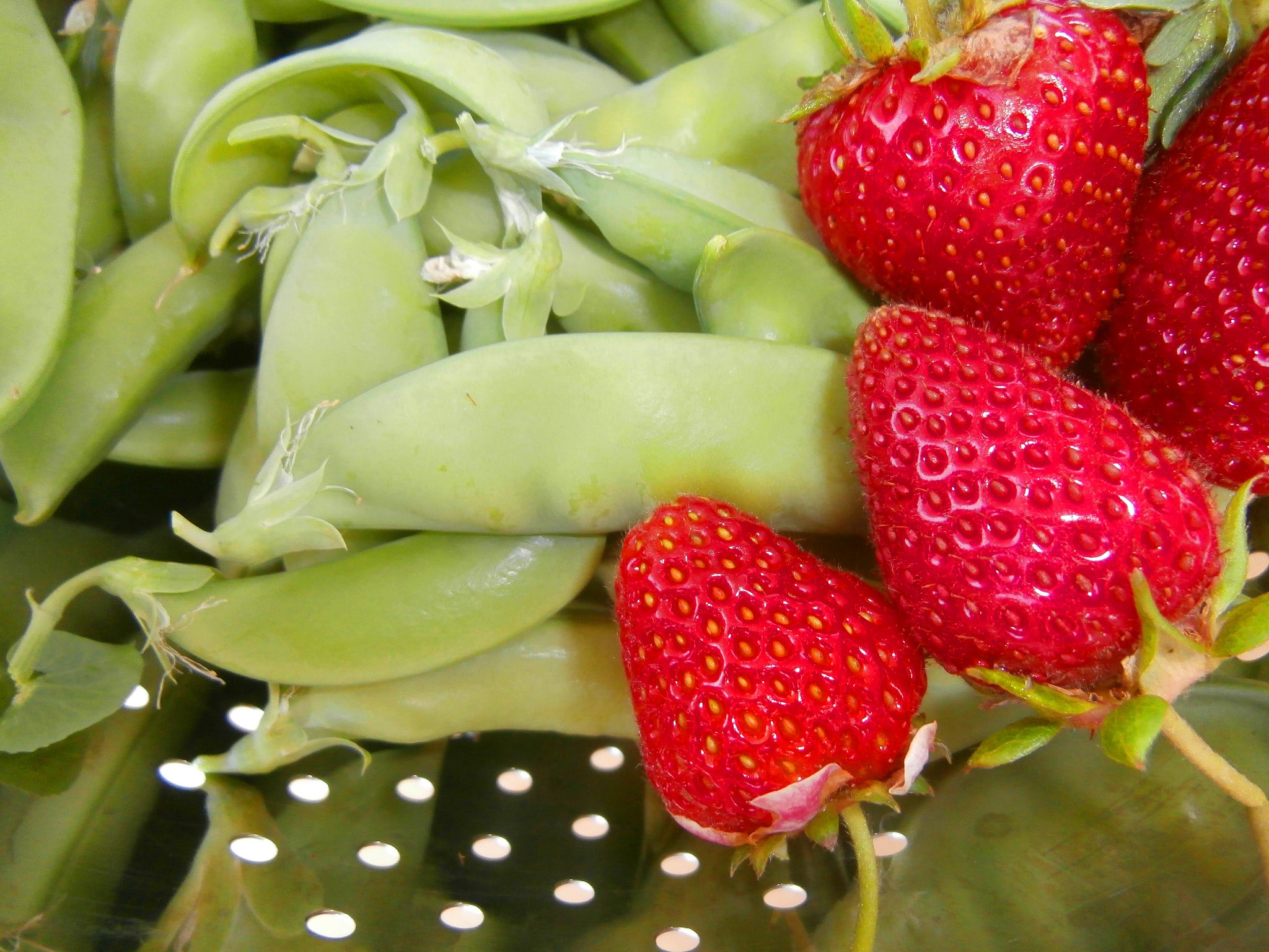 "Fruits and Vegetables"