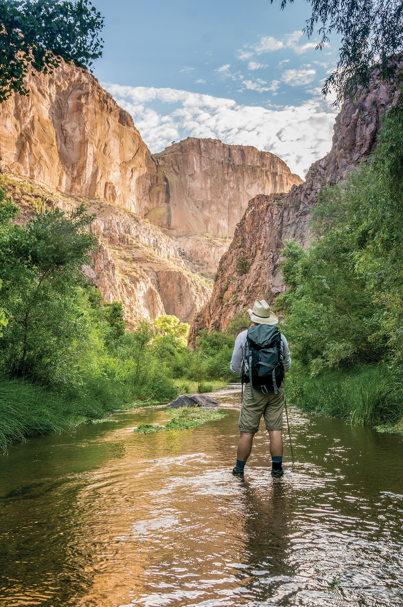 Hiker stands ankle deep in the waters of Aravaipa Canyon taking in the beautiful scenery.
