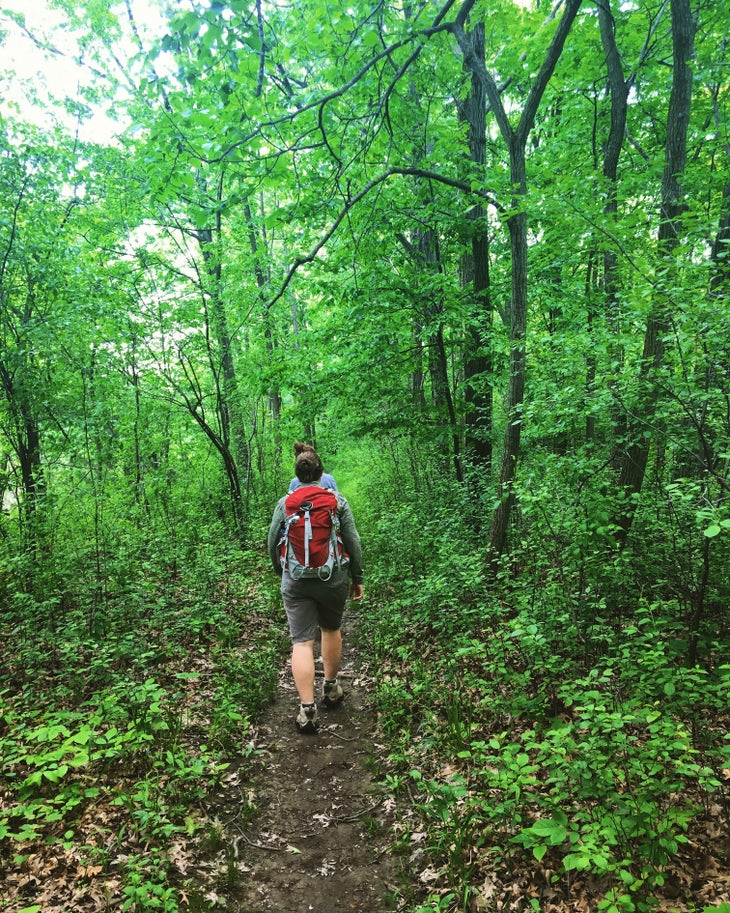 Des Plaines River Trail_Chicago None