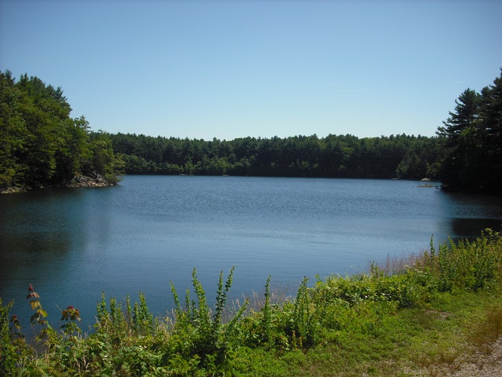 middlesex fells None