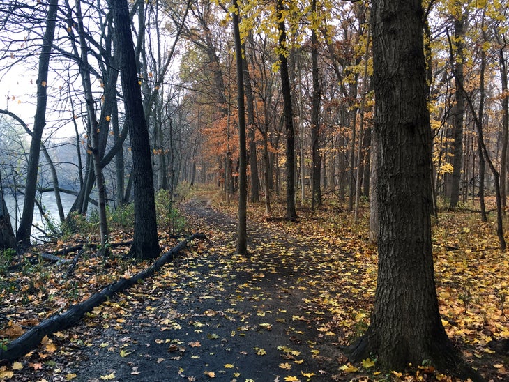 ryerson woods None
