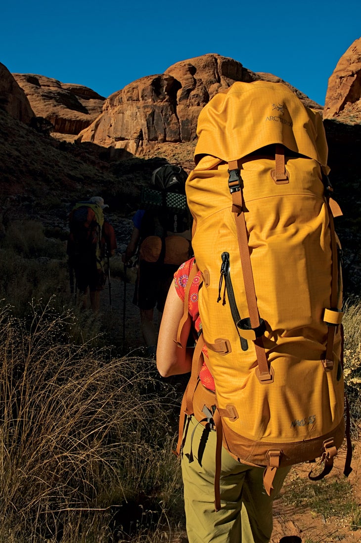 2006_BP0406EDCH8 editors choice 2006 arcteryx backpack