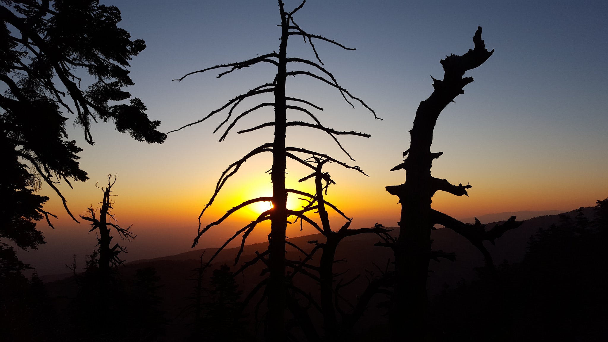 "Angeles National Forest"