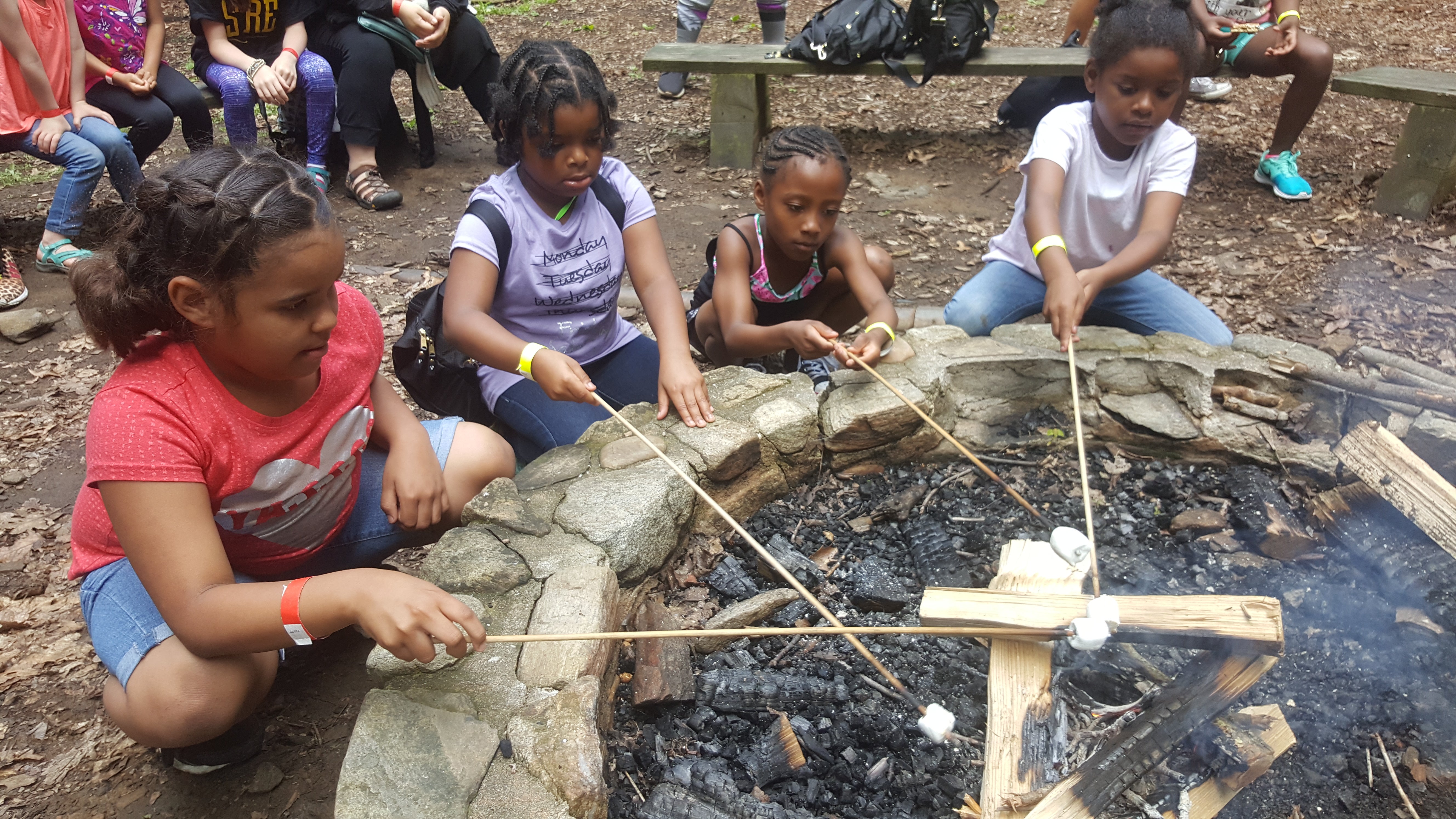 "Girl Scout Troop 6000"