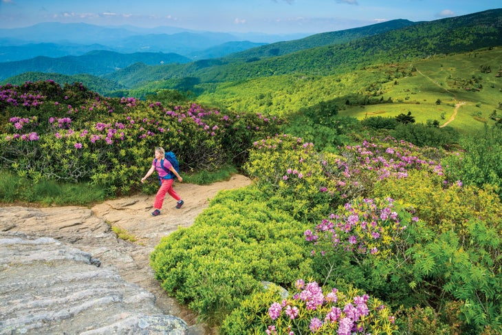 BP0618TOC_GrassyRidgekh1706104406 Rhododendrons line the Appalachian Trail on Jane Bald.