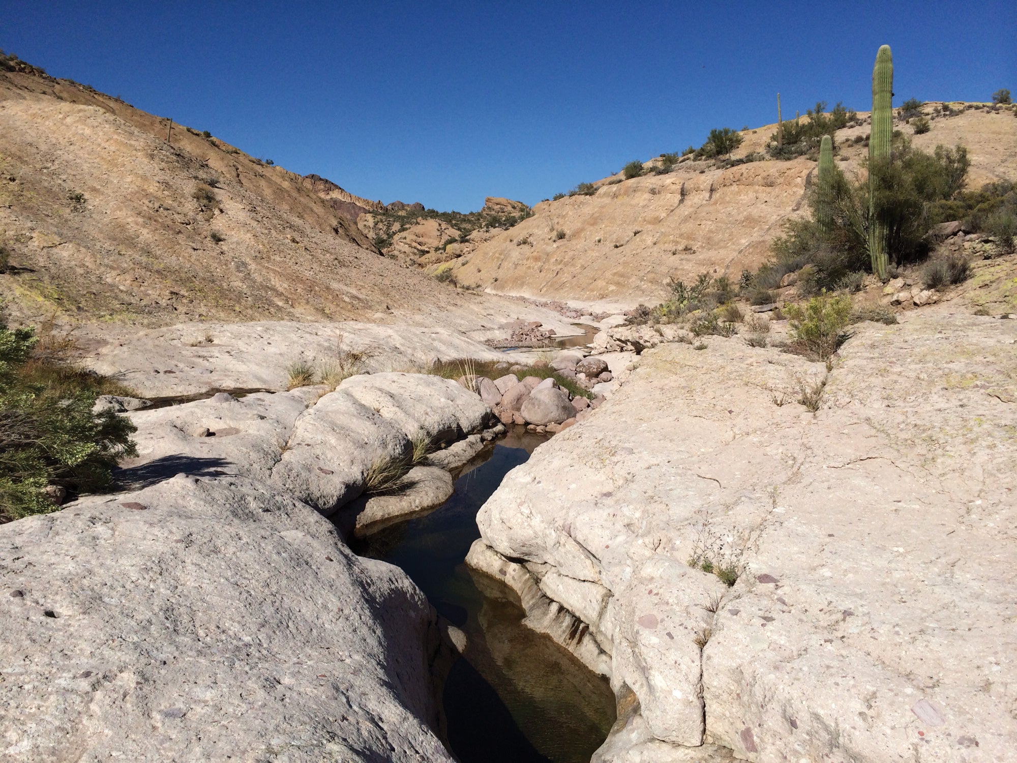 "Best Local Hikes Arizona Garden Valley"