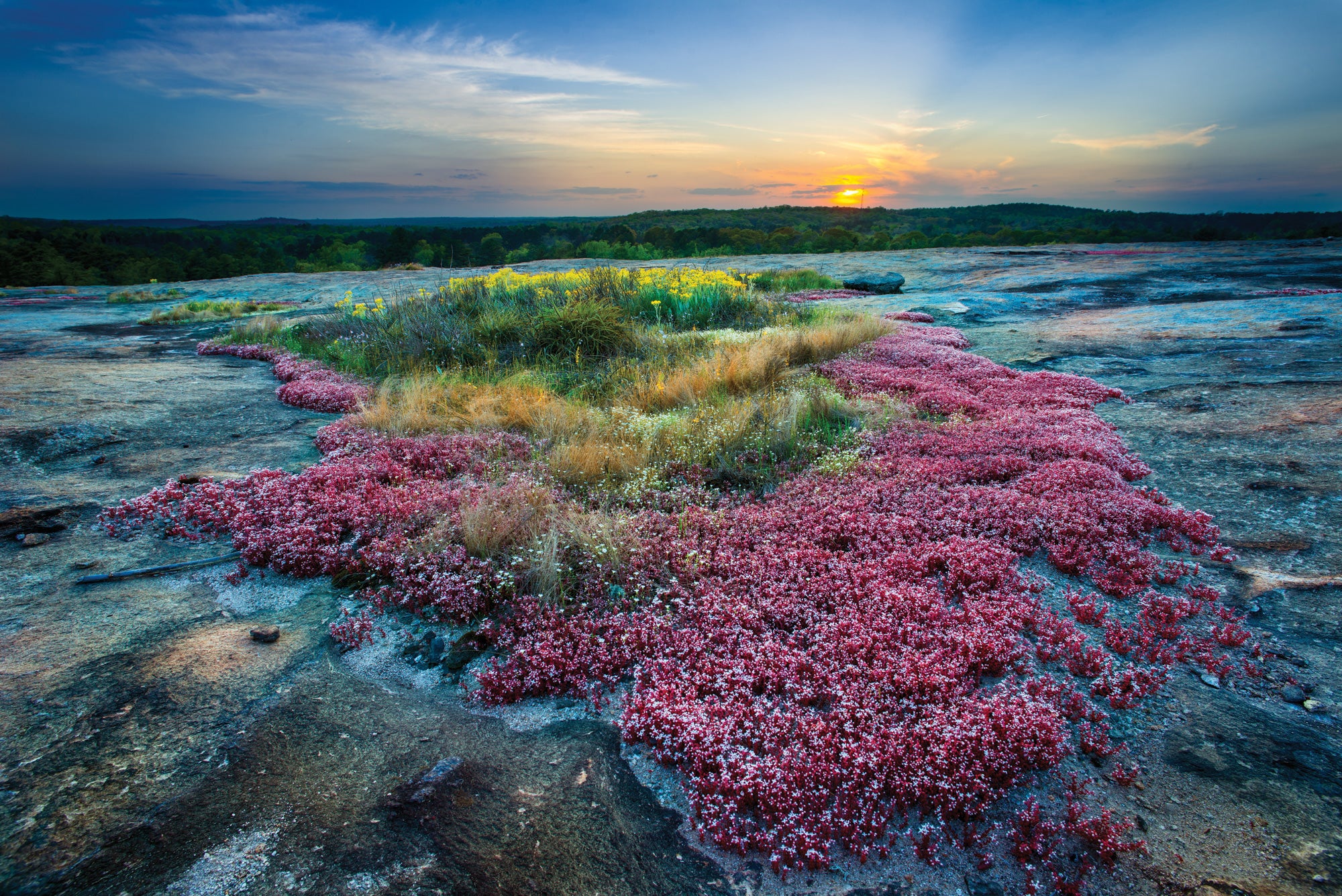 "Best Local Hikes in Atlanta Mountaintop Trail"