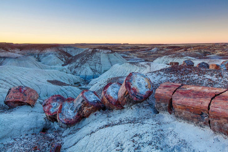Painted-Desert-Petrified-forest Painted Desert, Petrified Forest