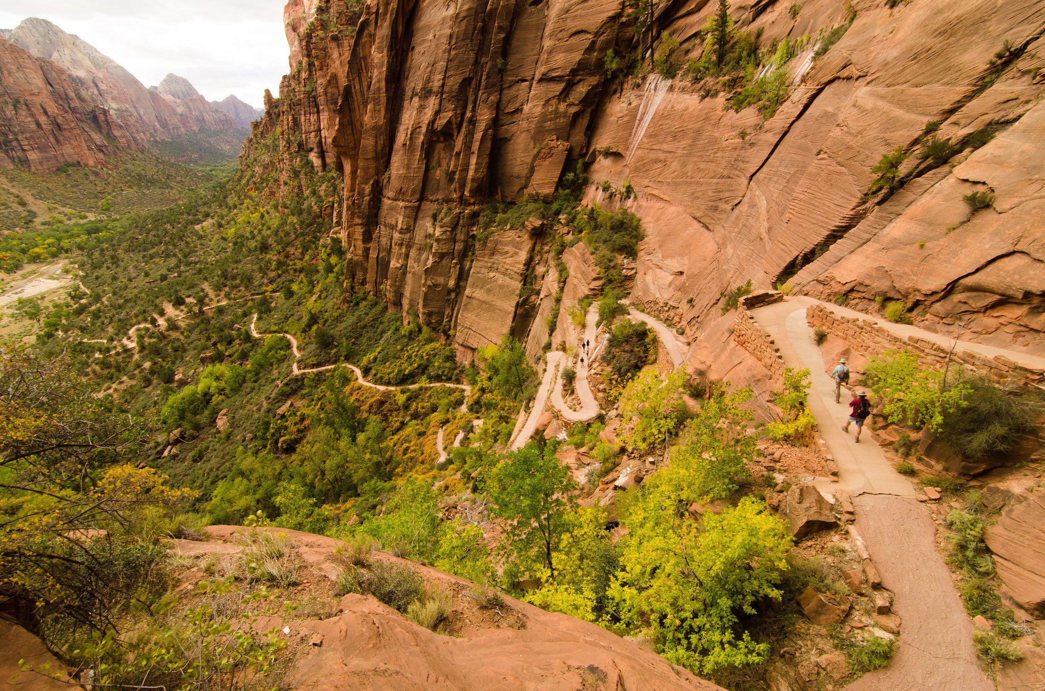 are dogs allowed in angels park zion national park