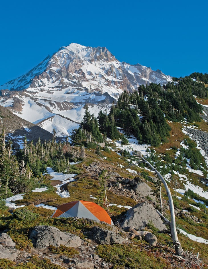 BP0918FEAT_ROUNDMNT_Sandine_TimberlineSpur_gn Mt. Hood National Forest, OR