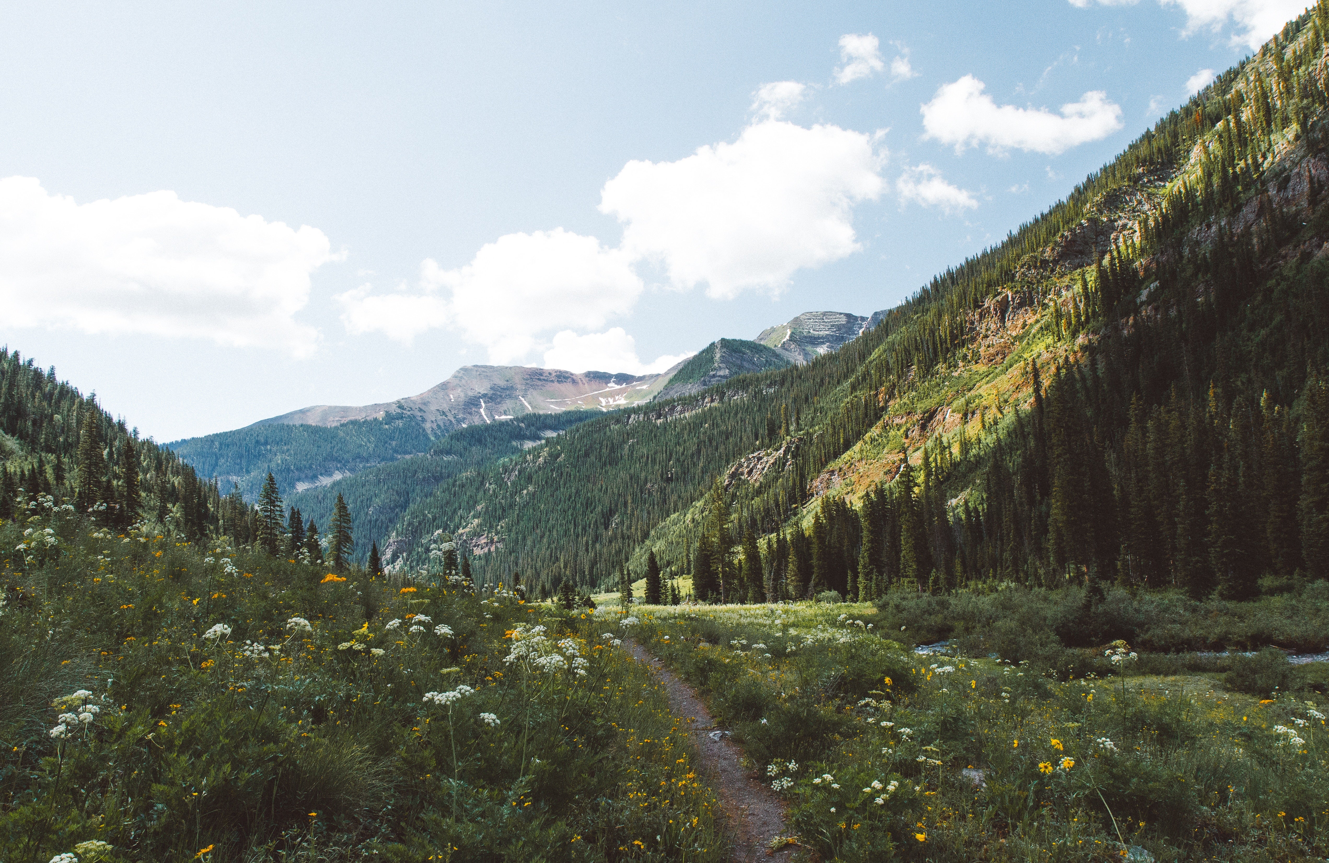 "Crested Butte, hike the Colorado Trail"