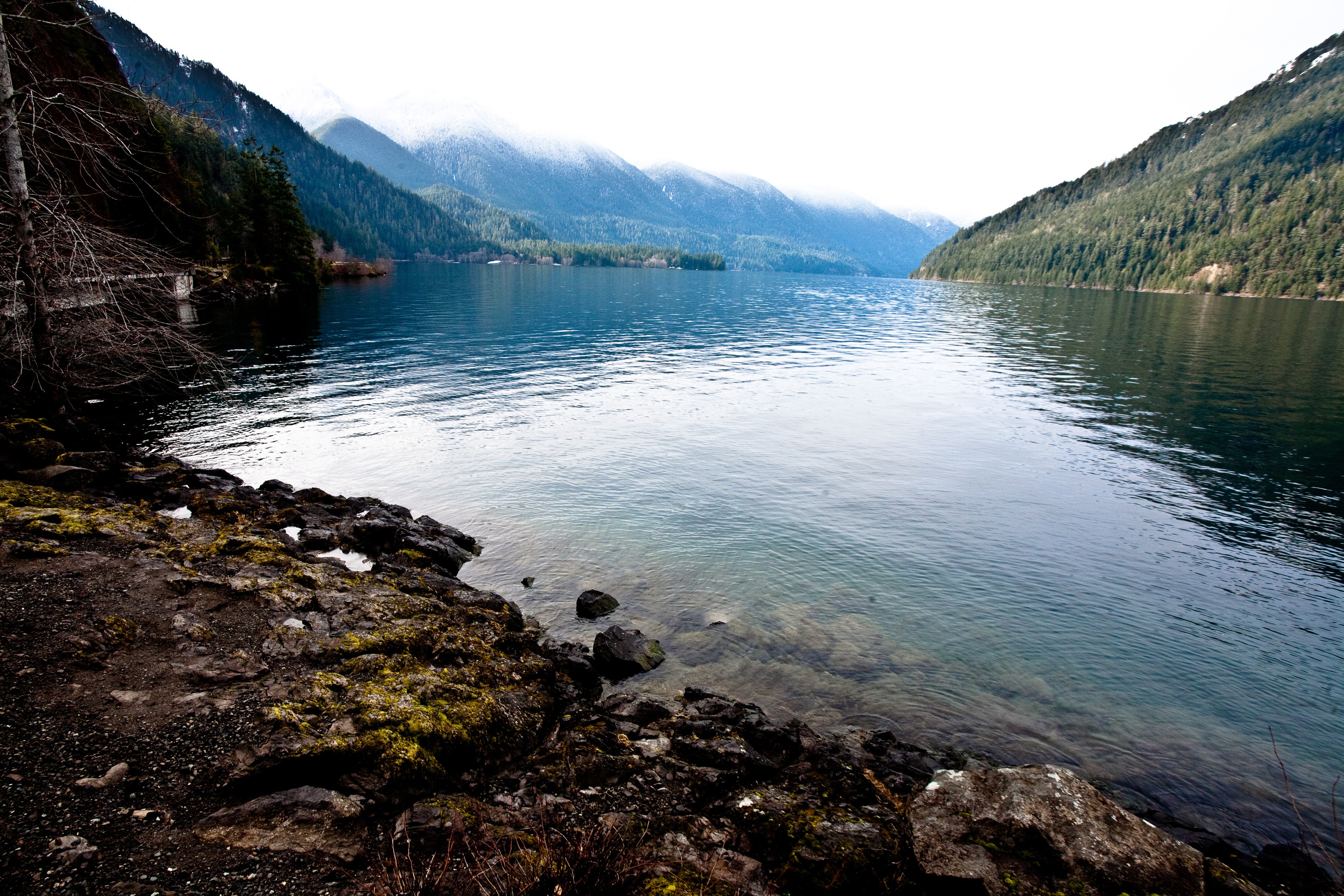 "Olympic National Park"