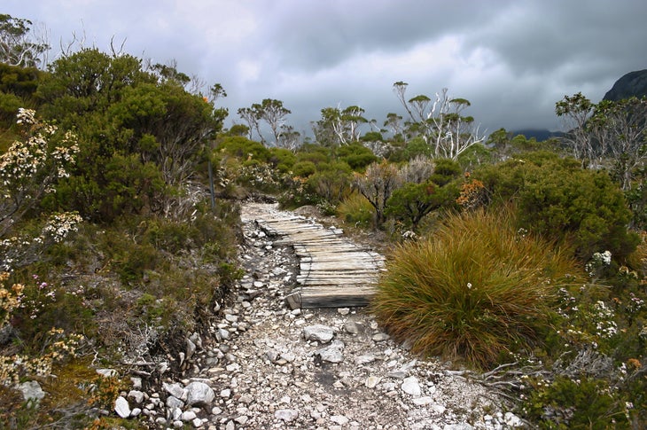 13659600075_9acae7ef08_o Tasmania