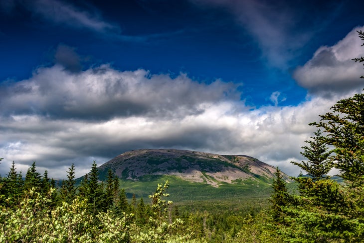 41364892141_4d8d56debc_k Gros Morne