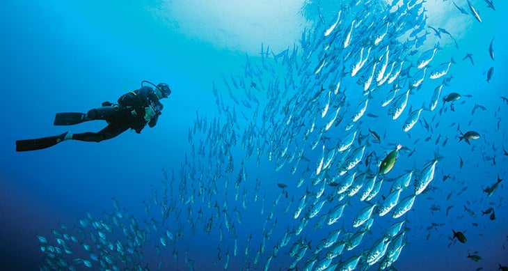 BP0316JOBSTandem56731933_JeffYonover_750x400 marine ecologist