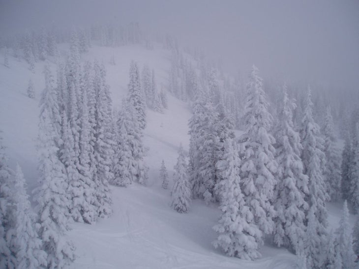 14101708_1a3ffbd959_o Blizzard