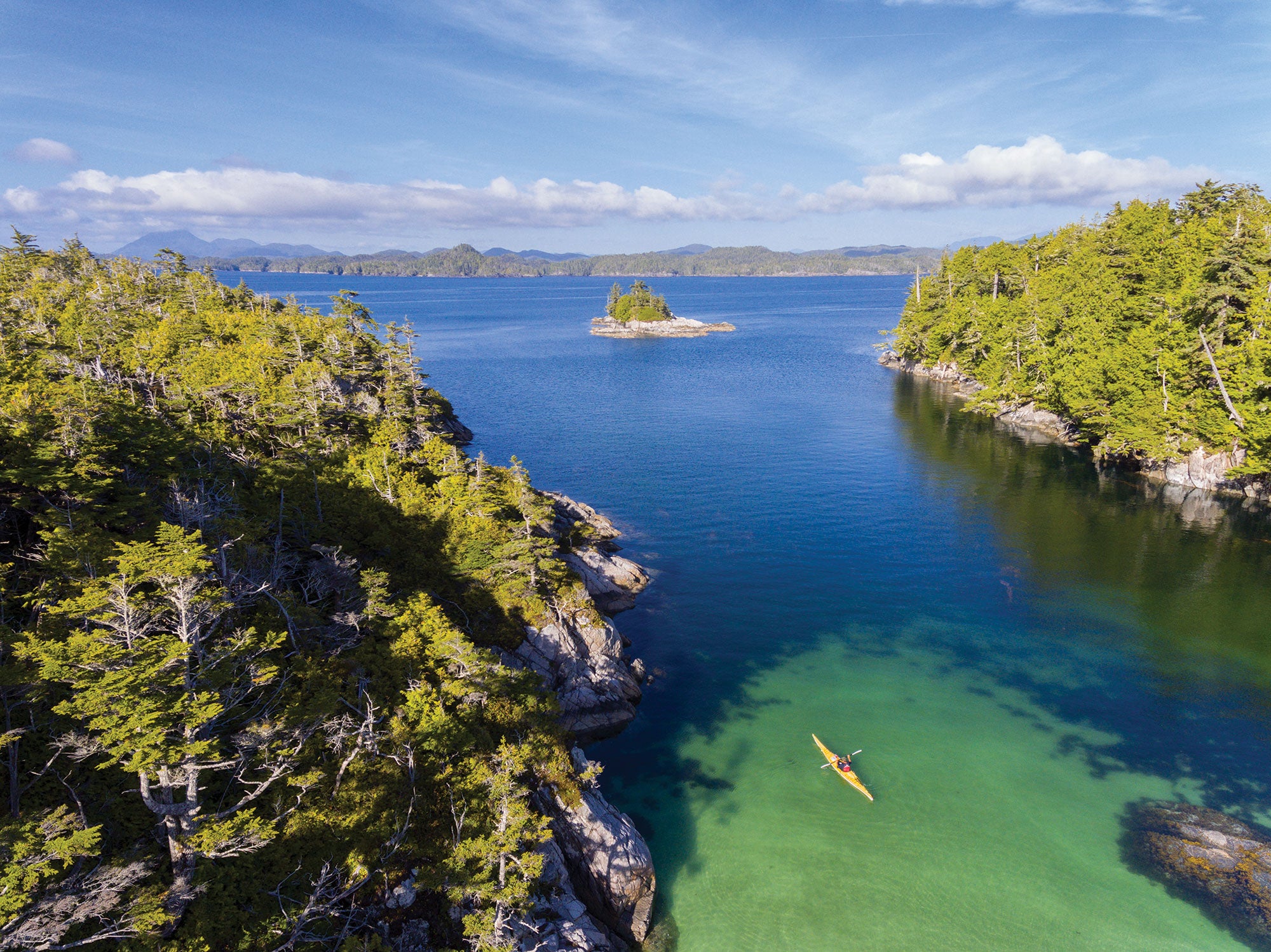 "Great Bear Rainforest"