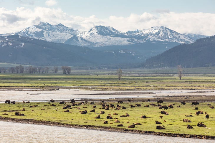 yellowstone Yellowstone