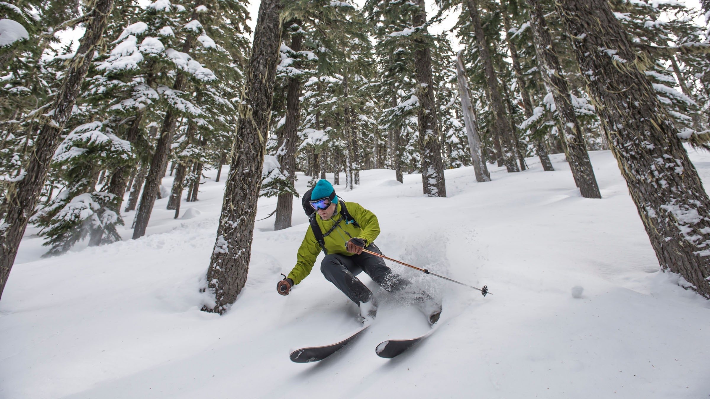 skier in trees stevens pass