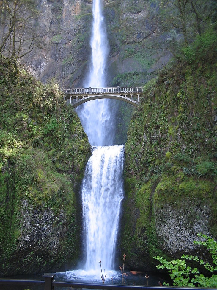 multnomah falls None