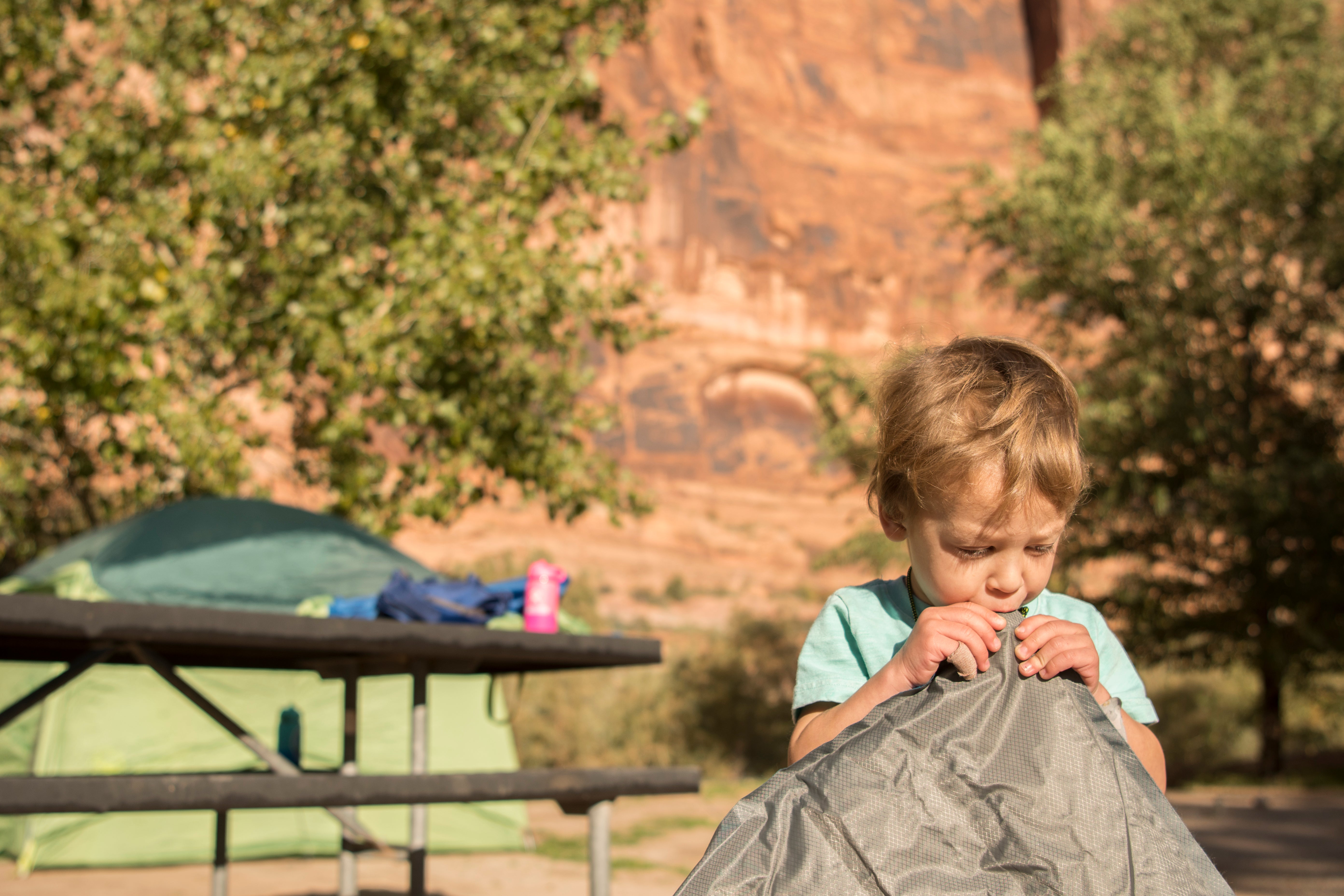 "Photo Courtesy of Wild Acorns Media"