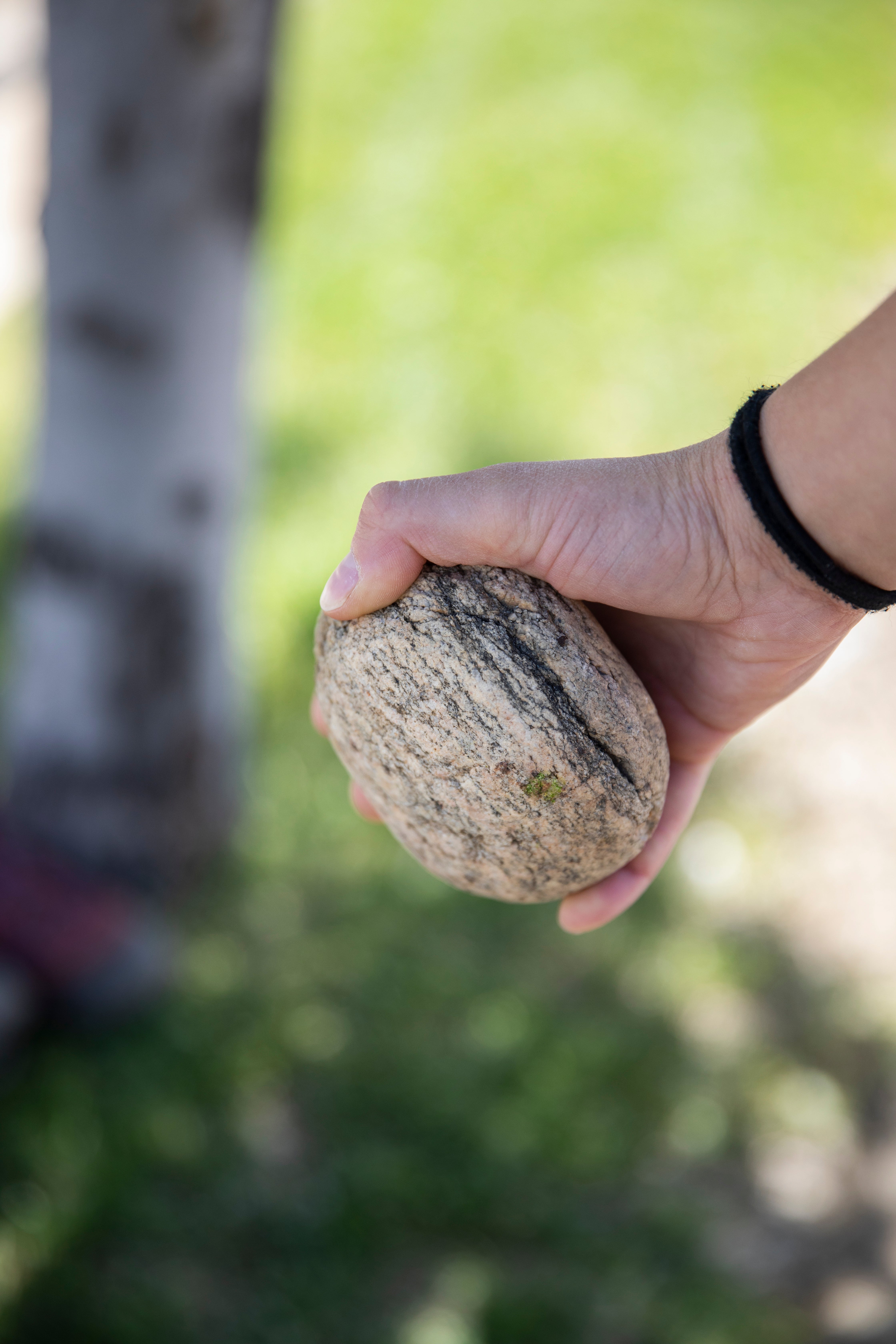 "Photo courtesy of Louisa Albanese"