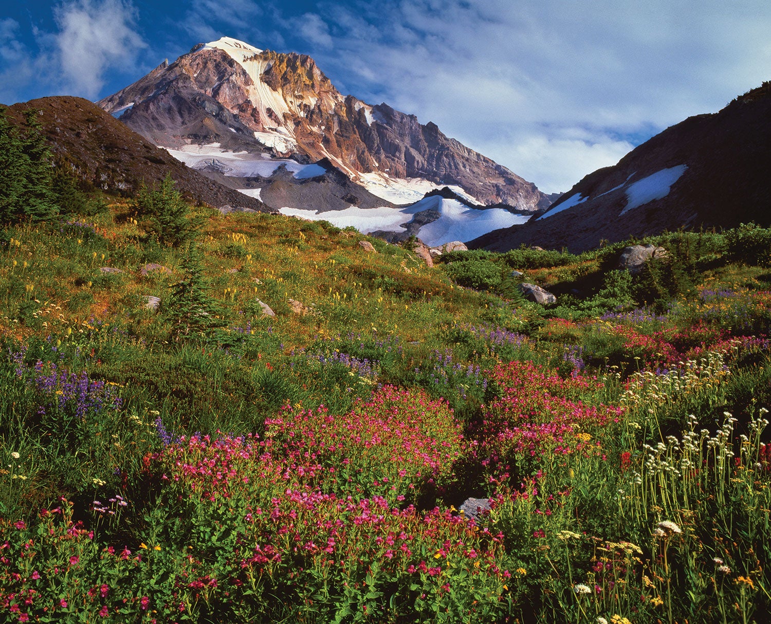 12 Best Oregon Hiking Trails Guide to Paradise 12 Timberline Trail
