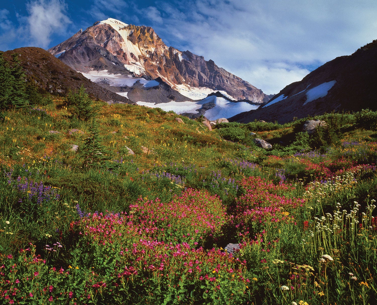 Timberline Trail