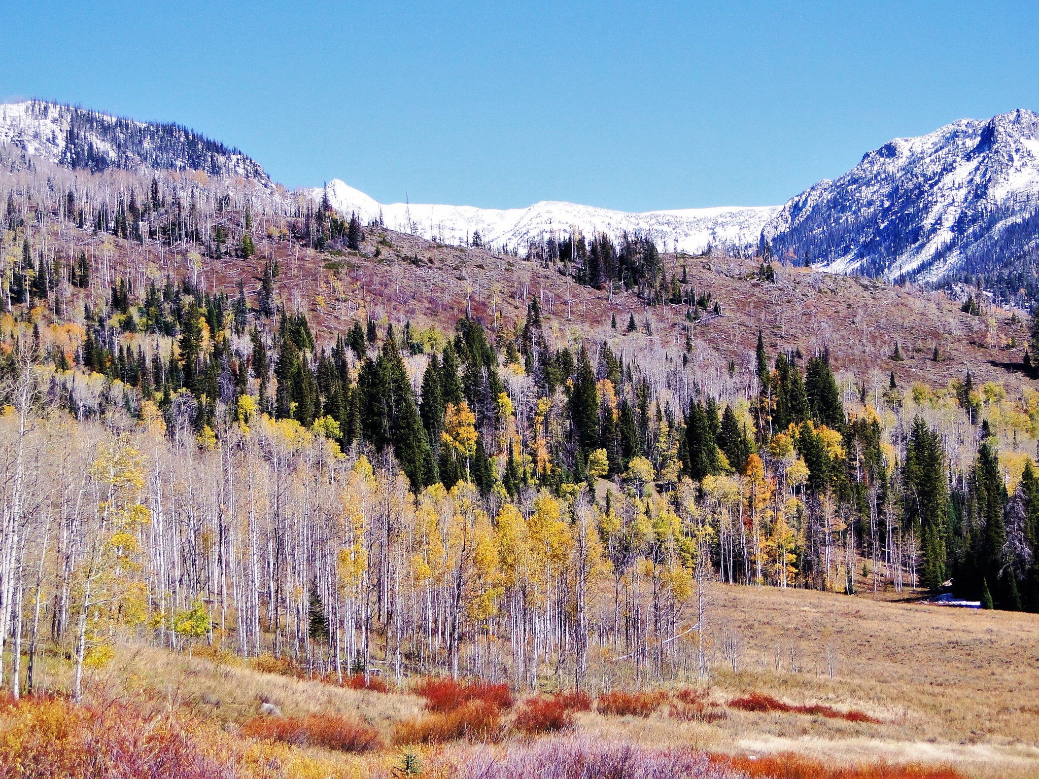 "Mt. Zirkel Wilderness"