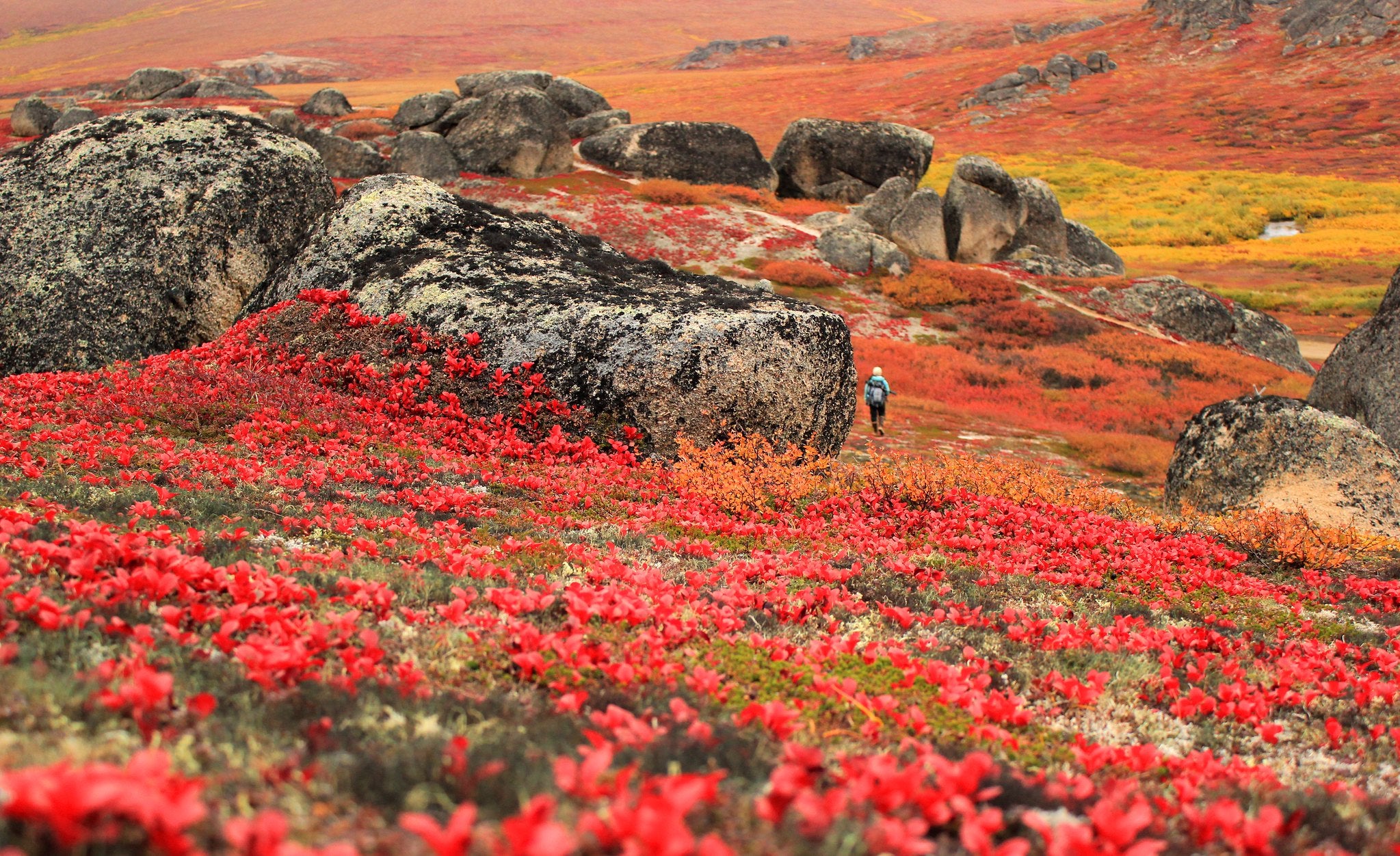 "Bering Land Bridge National Preserve"