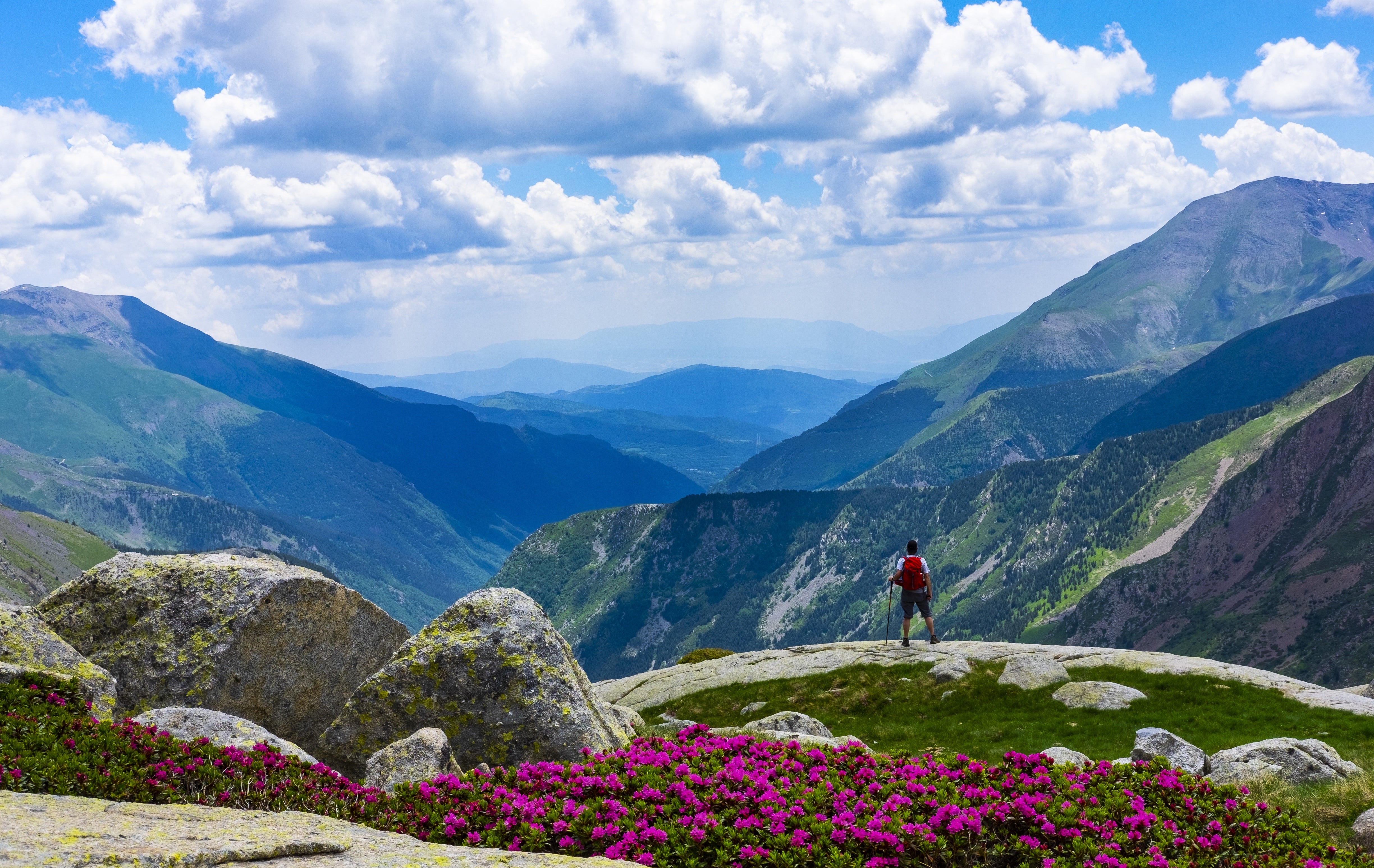 "Person stands on a rock outcropping looking out on a valley of mountains. Pink wildflowers are in the foreground. Photo in Aiguestortes National&hellip;"