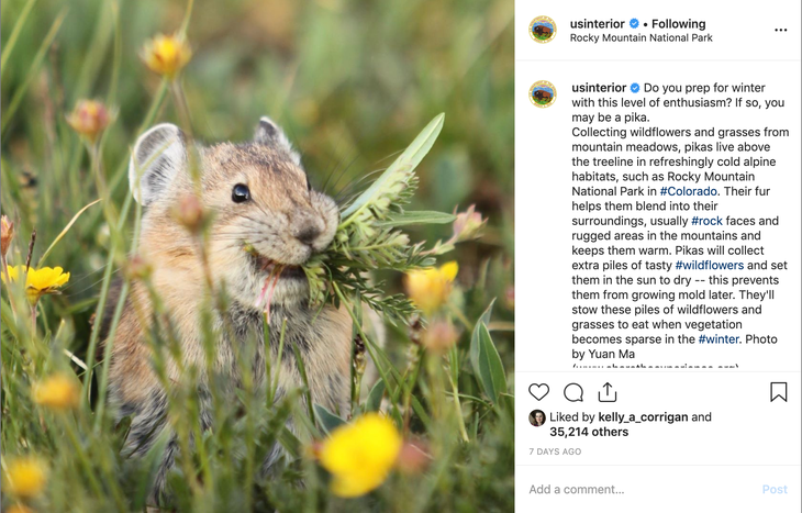 Screen Shot 2019-10-30 at 3.20.02 PM @usinterior