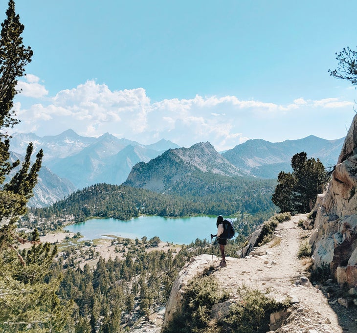 Tiny-Roe-at-Lake None