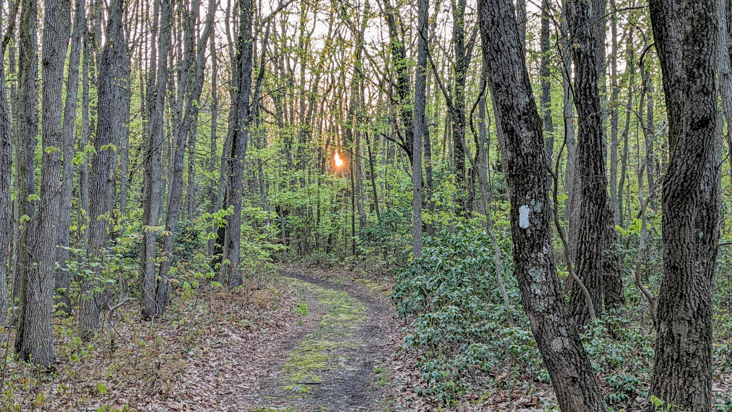 Appalachian Trail Pennsylvania