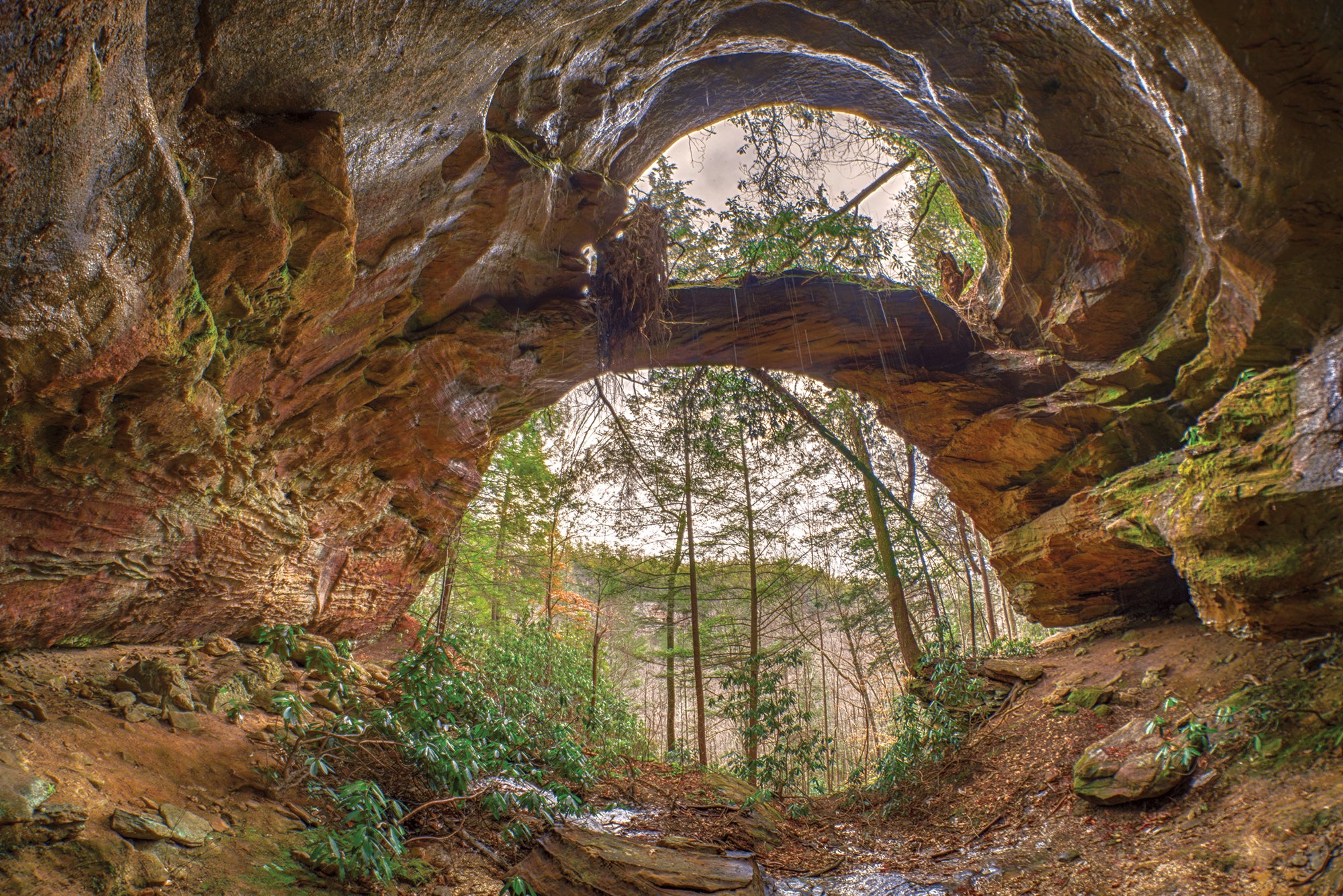 "Double Arch Red River Gorge"