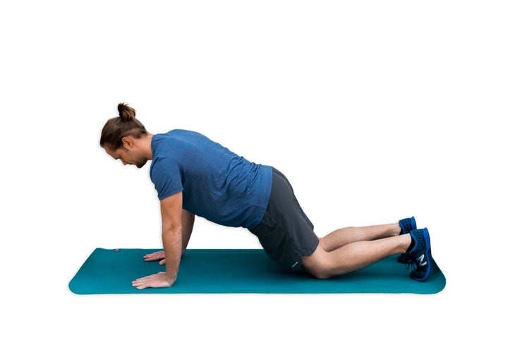 11.1 - Plank None
